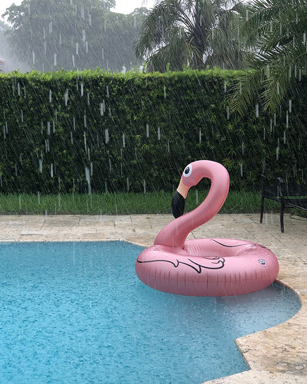 A flamingo-shaped inner tube on a pool during a rainstorm.