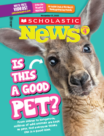 Explore our November 17, 2025, issue